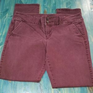 American Eagle Outfitters Women's Low Rise Skinny Jeans in Burgundy